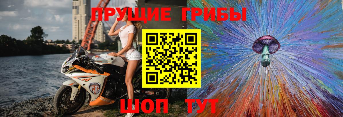 Галлюциногенные грибы GOLDEN TEACHER Всеволожск