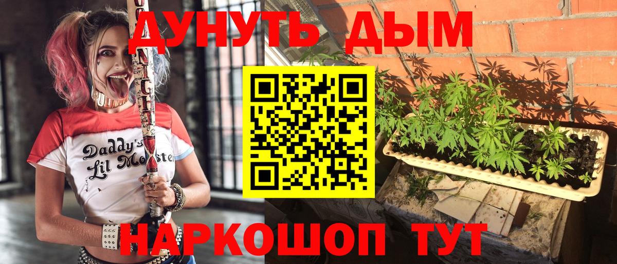 МАРИХУАНА ГИДРОПОН  МАРИХУАНА White Widow  Бошки марихуана VHQ  Вход с VPN  Шишки марихуана THC 21%  Всеволожск 